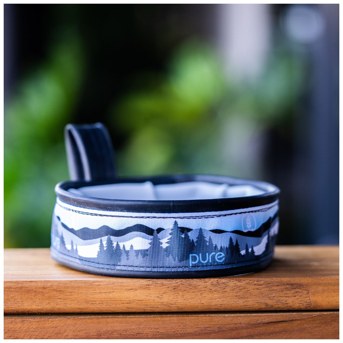Collapsible Dog Travel Bowl