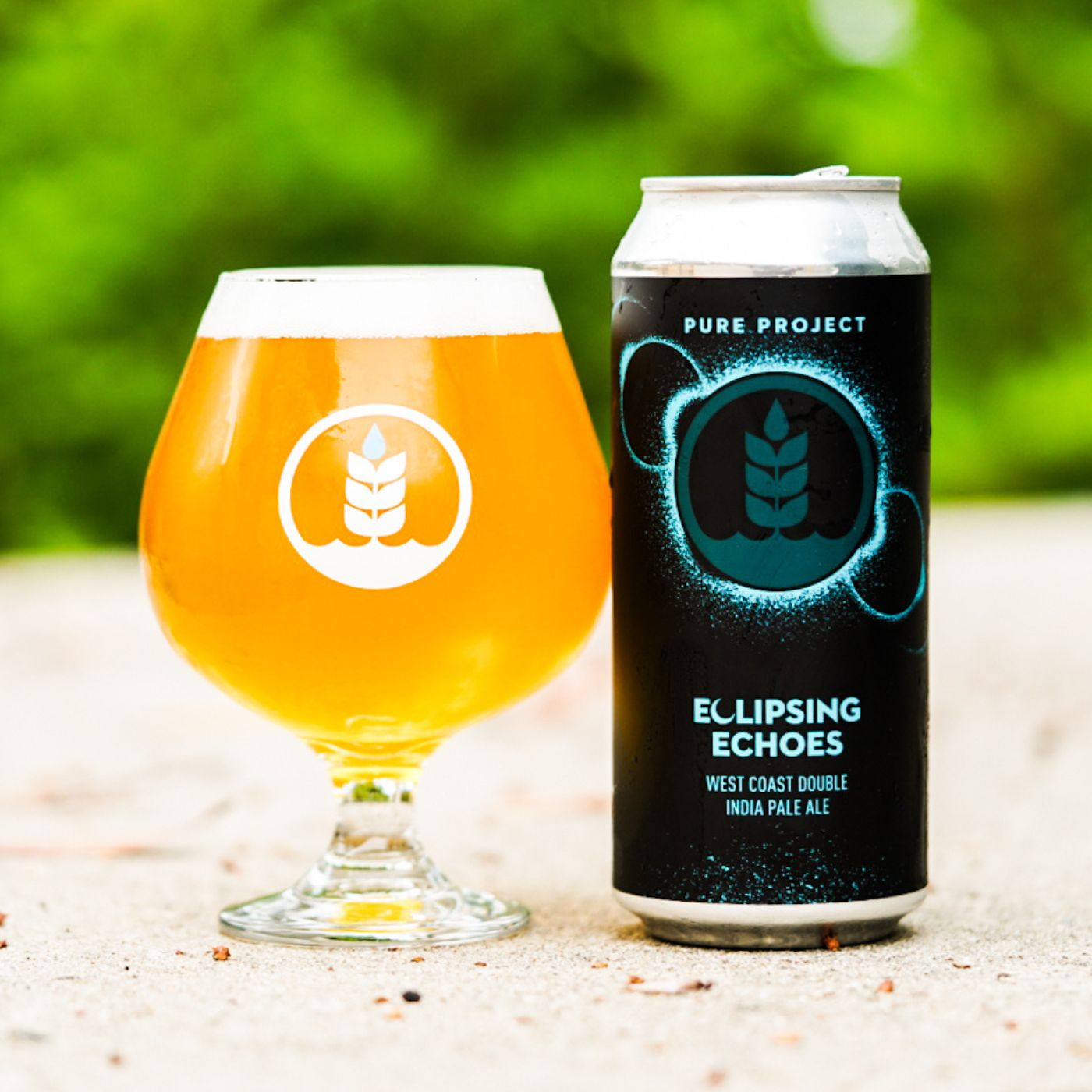 Eclipsing Echoes